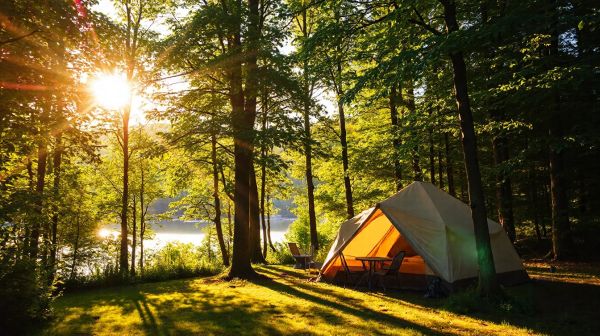 Top raisons de choisir le camping l'argentière pour un séjour confort